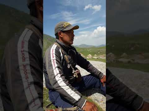 Видео: 9 августа 2018 г.