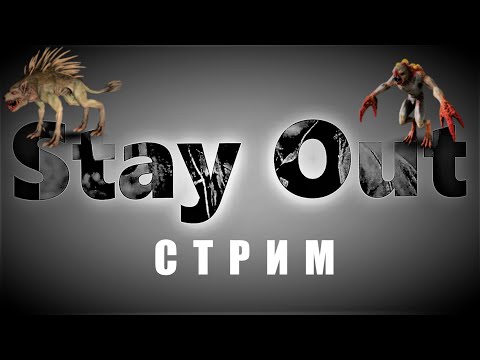 Видео: ⭐Stay Out⭐Сталкер-Онлайн👍 Охота охотника в Черном Лесу .