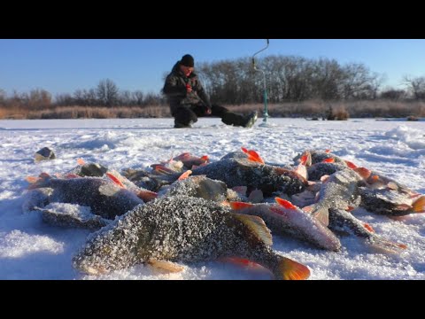 Видео: ОЦЕ КЛЕВ!!! ТАК Я ЩЕ НЕ ЛОВИВ!!!  Окунь на Балансир і безмотилку.