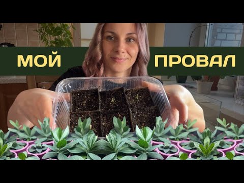 Видео: Рецепт грунта для рассады. Пересаживаю ужасную петунию. Про продажу рассады эустом. Болтаю о жизни.