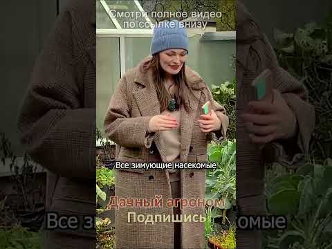 Видео: Это нужно делать ОСЕНЬЮ #дачныйагроном #обработка #огород #грядки #полезныесоветы