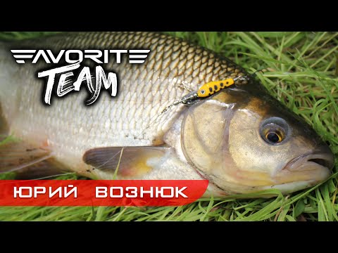 Видео: ЯЗЬ, ГОЛАВЛЬ, ОКУНЬ, ЖЕРЕХ. Что еще ловиться в реке Уж? Favorite Team.