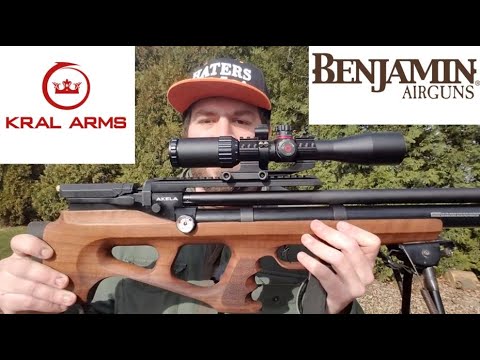 Видео: Обзор Benjamin Akela 22cal + Squirrel Hunt