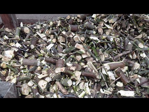 Видео: Топлю щепой Расход в час