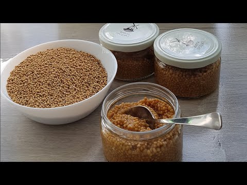 Видео: Делаем сами дижонскую горчицу