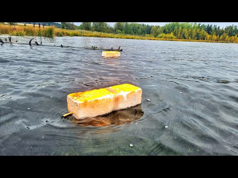 Видео: ДУМАЛ ТРУПЫ! ПОСТАВУШКИ НА САЗАНА СТАВЛЮ НА ЩУК! РЫБАЛКА НА ДЕРЕВЕНСКОМ ПРУДУ
