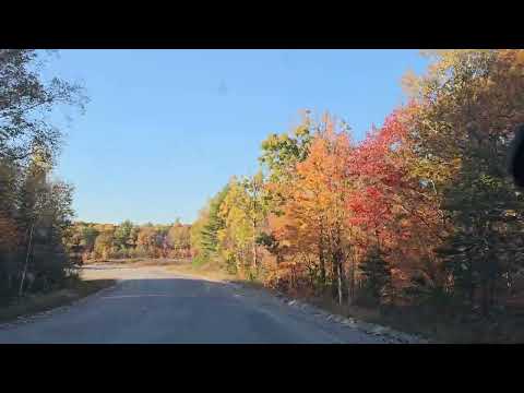 Видео: Вождение по худшей асфальтированной дороге