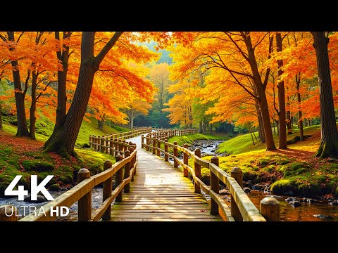 Видео: Красивая расслабляющая музыка 🍁 Нежные осенние звуки для релаксации и медитации