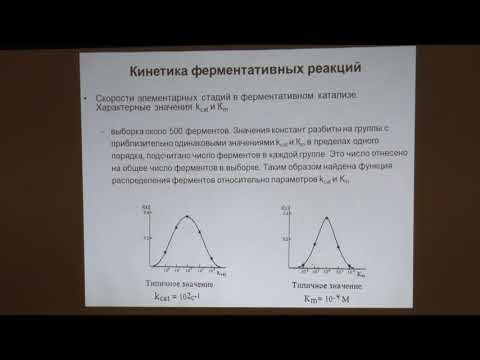 Видео: Клячко Н. Л. - Механизмы ферментативного катализа - 12. Специфичность ферментов