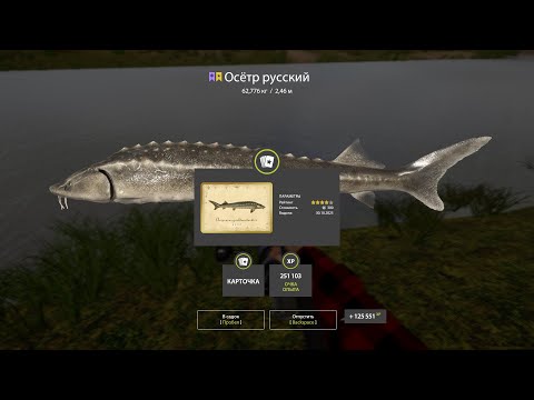 Видео: 1100 СЕРЕБРА за ЧАС НА ОСЕТРАХ! • ОТЛИЧНЫЙ ФАРМ СЕРЕБРА на АХТУБЕ!