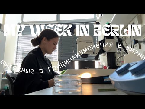 Видео: ЧТО НОВОГО / УЮТНЫЙ ВЛОГ О ЖИЗНИ БИОЛОГА В БЕРЛИНЕ / ВЫХОДНЫЕ В САЛОНИКИ / ТИХАЯ ЖИЗНЬ