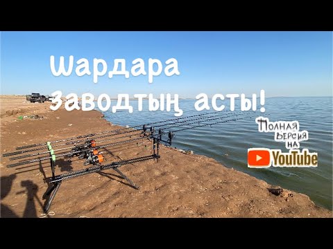 Видео: Шардара 2 күндік демалыс