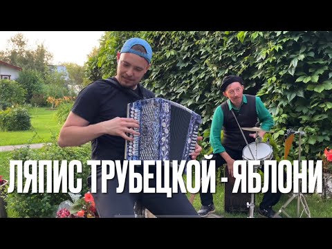 Видео: ПАРНИ ДАЛИ ЖАРУ НА ГАРМОНИ И КАХОНЕ! 🔥🔥🔥  ЛЯПИС ТРУБЕЦКОЙ - ЯБЛОНИ