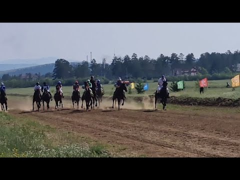 Видео: Скачки.Сурхарбан Улан-Удэ 2024.Рысь под седло 3000м.