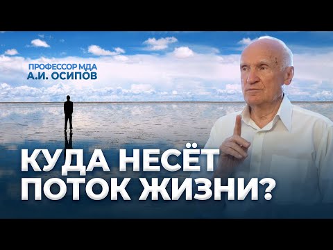 Видео: Куда несёт поток жизни? / А.И. Осипов