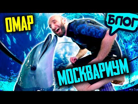 Видео: Омар сходил в Москвариум на ВДНХ