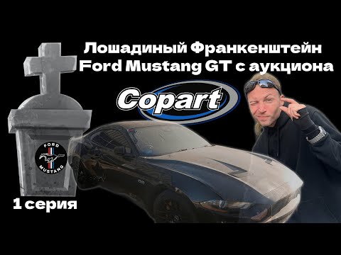 Видео: Ford Mustang GT с аукциона Copart США