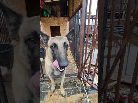 Видео: #Один на миллион