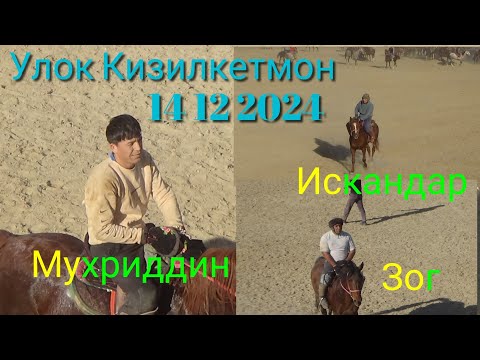 Видео: /Улок/Носири Хусрав/Кизилкетмон катта улок тез курамиз лаек Обуна булинг