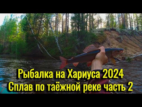 Видео: Рыбалка на Хариуса 2024. Сплав по таёжной реке. Добрались до крупного хариуса. Уха на костре. Часть2