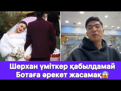 Видео: Шерхан үміткер қабылдамай Ботаға әрекет жасамақ😱