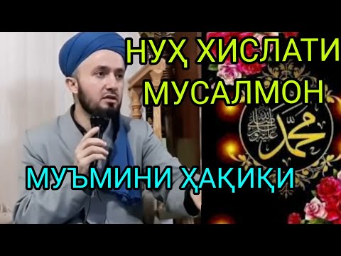 Видео: МУСАЛМОНИ ҲАҚИҚИ НУҲ ХИСЛАТ ДОРАД ДОМУЛЛО АБДУЛКОДИР