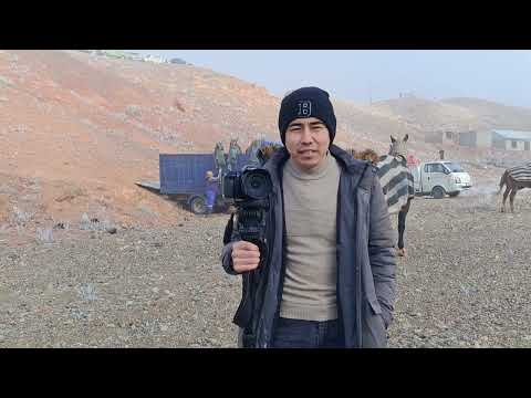 Видео: Янги отлар билан танишамиз 7.12.2024