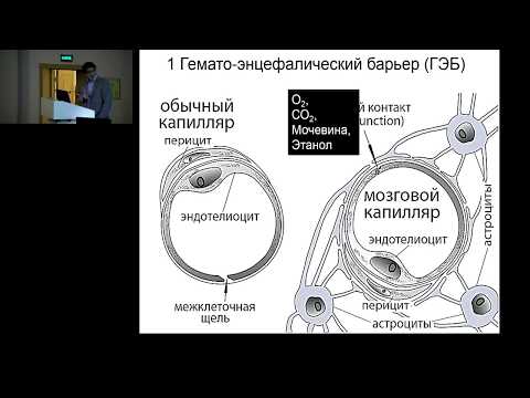 Видео: Инфузионная терапия при поврежденном мозге Ошоров А В