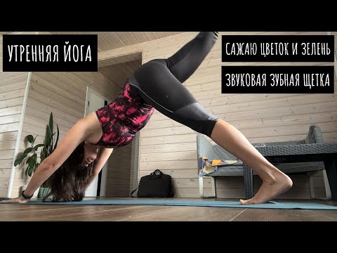 Видео: Занимаюсь йогой / Пересаживаю цветок, сажаю зелень в кашпо / Звуковая зубная щетка победила