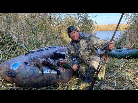 Видео: Открытие охоты на утку 2021 в Ростовской области. Правдивое видео.
