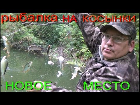 Видео: РЫБАЛКА НА КОСЫНКИ НОВЫЕ МЕСТА