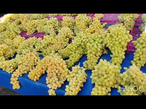 Видео: Турецкий базар. Кемер.🍑🍏🍅🦐Вот это шедевр.