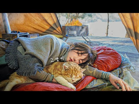 Видео: В одиночном походе с кошками наверняка было тепло даже зимой. / кот / Чоко