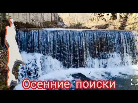 Видео: Осенние поиски. Аммониты и пр. Ноябрь 2025