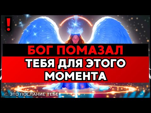 Видео: ИЗБРАННЫЙ, БОГ СКАЗАЛ ВСЕ СРАЗУ СУМАСШЕДШИЕ – СДЕРЖИ СЕБЯ🙌