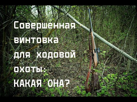 Видео: Винтовка для охоты: опыт за 10 лет