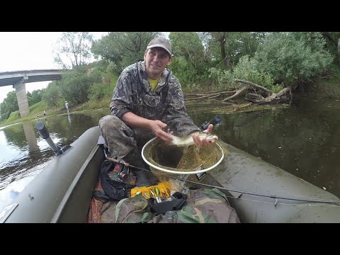 Видео: Сплав со спиннингом по реке, или ловля хищника на Рессе в июне 2020, Калужская область