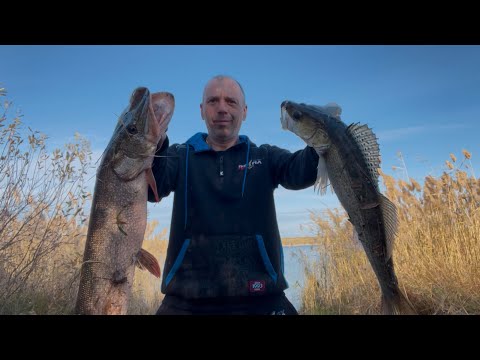 Видео: Рыба повернулась ко мне задом ! Подобрал приманку , и понеслась РЫБАЛКА !