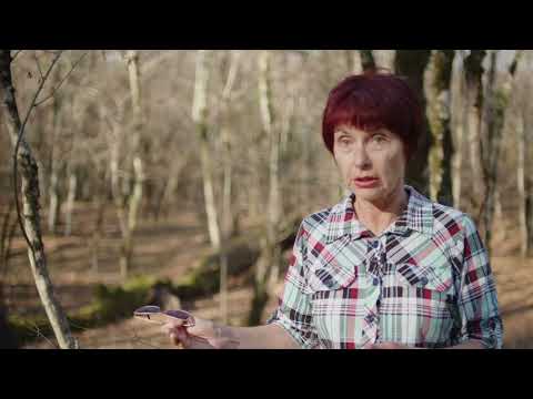 Видео: Экскурсия "Долина реки Жане", г. Геленджик