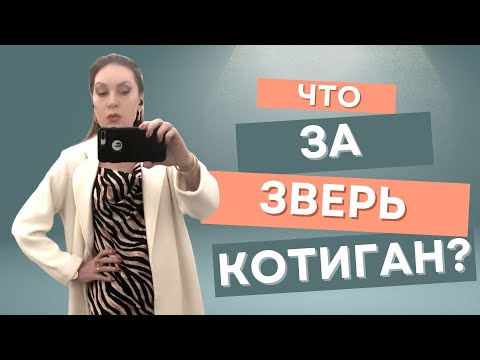 Видео: Популярные цвета и тренды осени 2024. Что такое КОТИГАН?