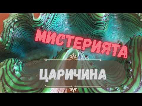 Видео: ЦАРИЧИНА, ЙЕРОГЛИФИТЕ, ЗАПИСКИТЕ НА ЕЛИ ЛОГИНОВА И ВИОЛЕТОВОТО СИЯНИЕ ДНЕС