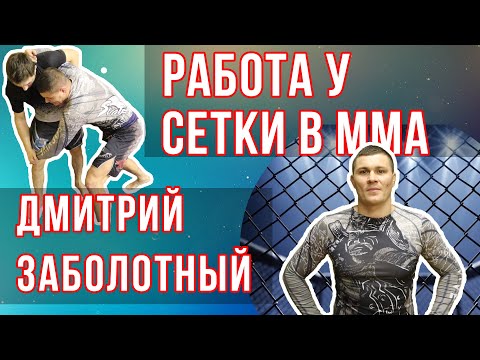 Видео: Любимые техники для ММА от Дмитрия Заболотного / Дневник ММА