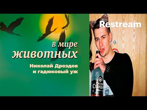 Видео: PALMDROPOV OTTO KANIMA | СМОТРИМ ЛЕГЕНДАРНЫЙ СТРИМ!