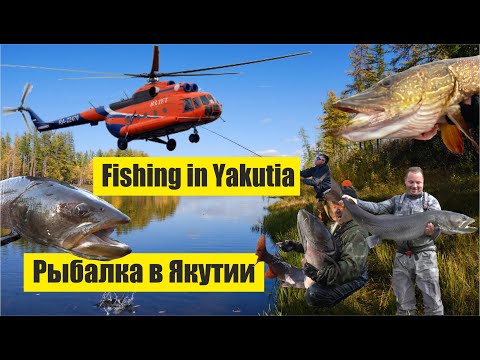 Видео: Рыбалка в Якутии за гранью реальности / Fishing in Yakutia beyond reality (Hucho taimen)
