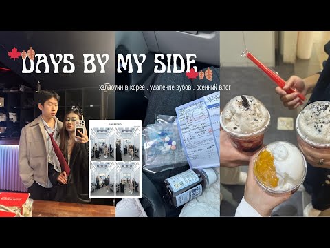 Видео: ВЛОГ🧡: days by my side / хеллоуин в корее / удаление зубов / просто мои осенние будни 🎃🍂