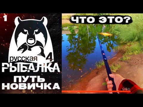 Видео: РР4 ПУТЬ НОВИЧКА №1 И СРАЗУ ТАКОЕ!!! ЭТОГО Я НЕ ОЖИДАЛ!