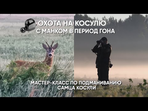 Видео: Охота на косулю с манком в период гона! МАСТЕР-КЛАСС в охоте на самца косули с использованием манка!