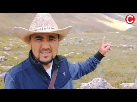 Видео: ТЭКЭ-ЭЛИК жайлоосу ЧОҢ-АЛАЙ #СулайманЖанботоев #САНЖЫРА