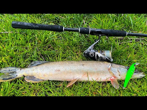 Видео: ЛОВЛЯ ВОБЛЕРОМ НА РІЧЦІ ПІВДЕННИЙ БУГ✅