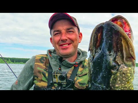 Видео: О такой РЫБАЛКЕ можно мечтать ! Лучшая блесна - колебалка! Рыбалка на колдовском озере